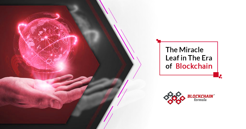 Miracle Leaf in the Era of Blockchain