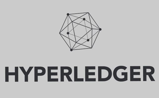 Customized Hyperledger Solutions